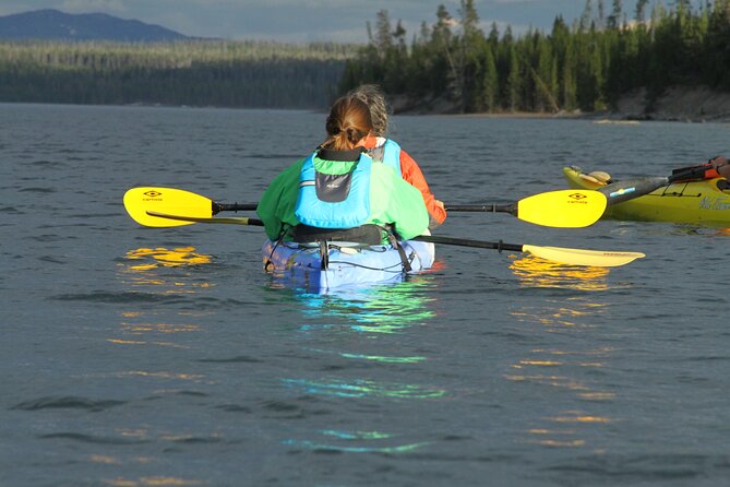 Yellowstone Lake & Hot Springs / 3 Hour Morning or Twilight Tour - Is $125 a fair price?