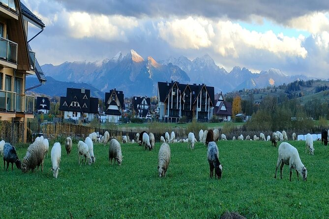 Zakopane and Thermal Pools Tour with Hotel Pickup - Key points to know before booking