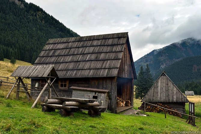 Zakopane & Thermal Hot Springs with Private Vehicle - Witow brings cheese, fire, and a small toast